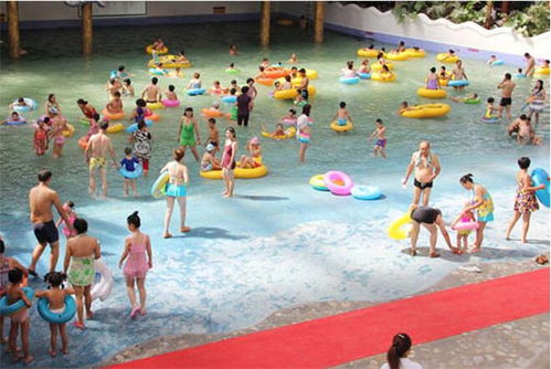 鼓風造浪設備誠信商家 天新游藝品類齊全