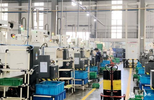 玉商本色，逐浪前行——玉環(huán)工程機械產業(yè)搶抓機遇拓市場、趁勢而上穩(wěn)增長