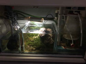 上岸清設備 福州魚友必備設備清單及養(yǎng)護建議